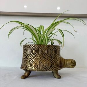 Anthropologie Gold Turtle Planter